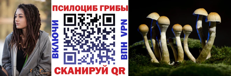 гидра ссылка  Голицыно  Псилоцибиновые грибы Cubensis 